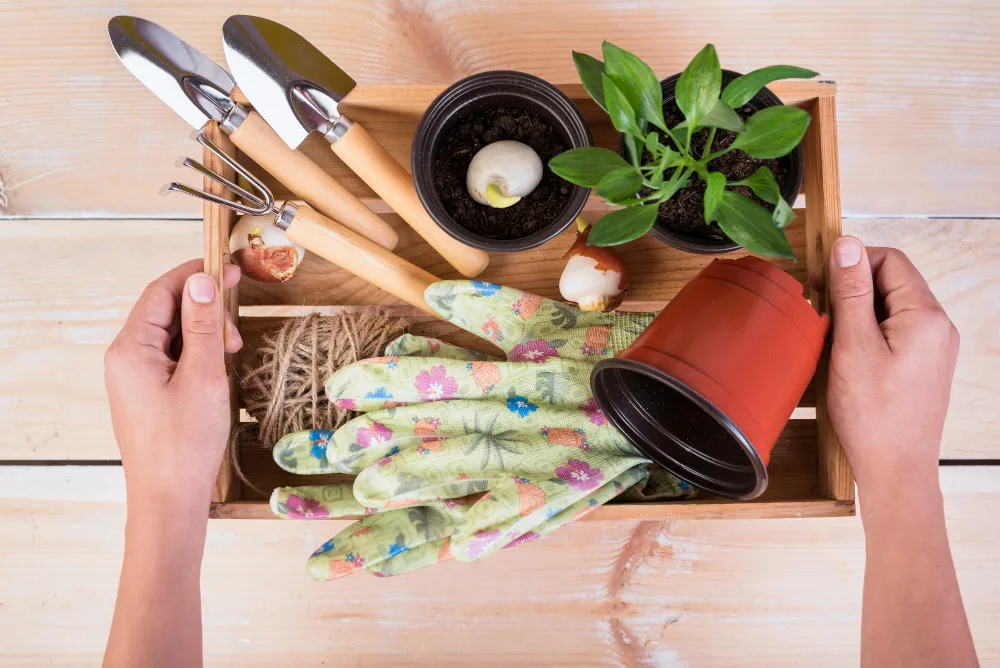 Cómo montar un kit básico para horta casera: Guía completa para principiantes Cómo montar un kit básico para horta casera