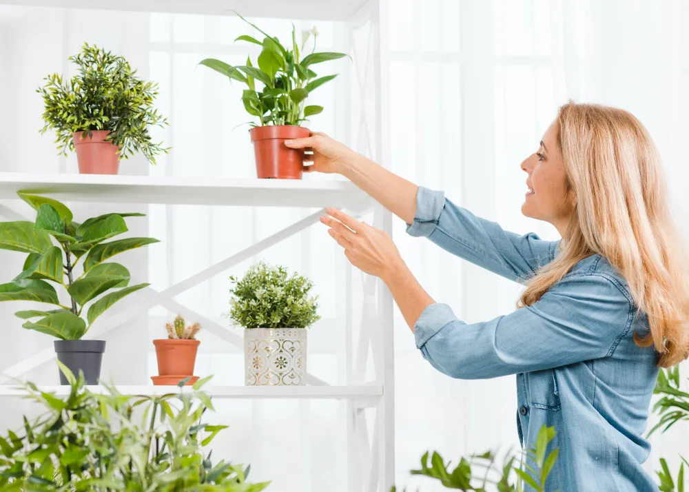 Plantas que decoran y economizan espacio