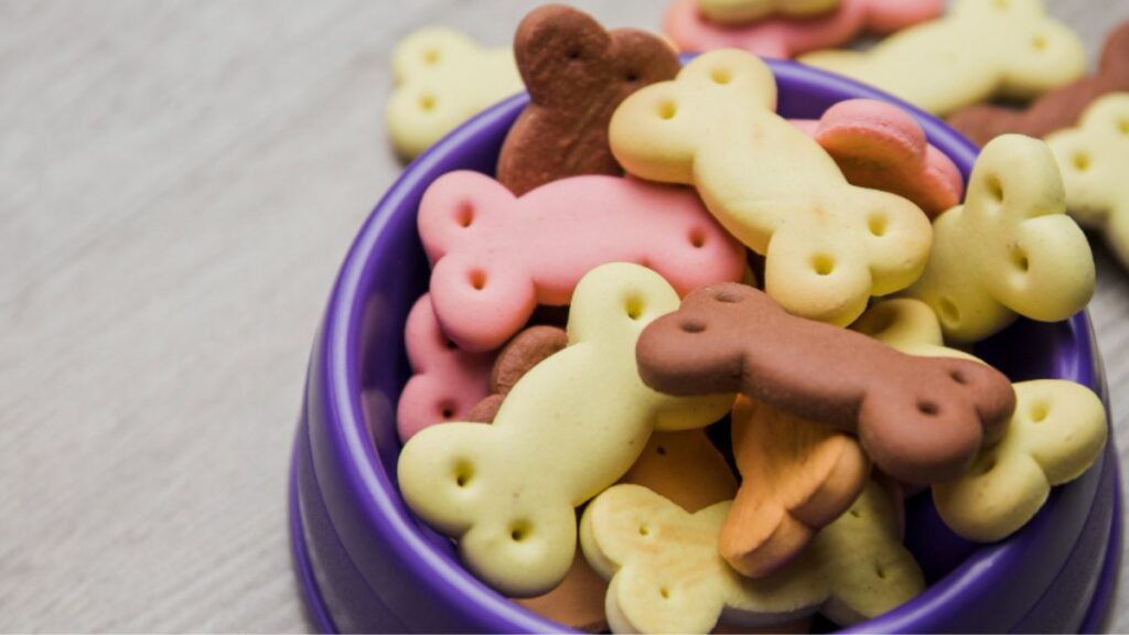 Principais tipos de suplementos para pets