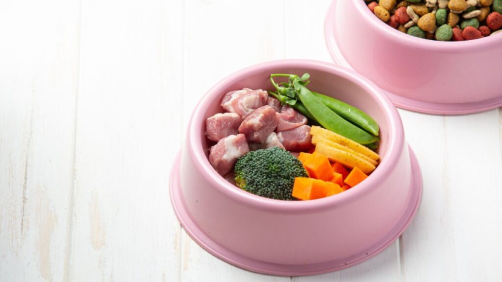 alimentação natural para cachorro