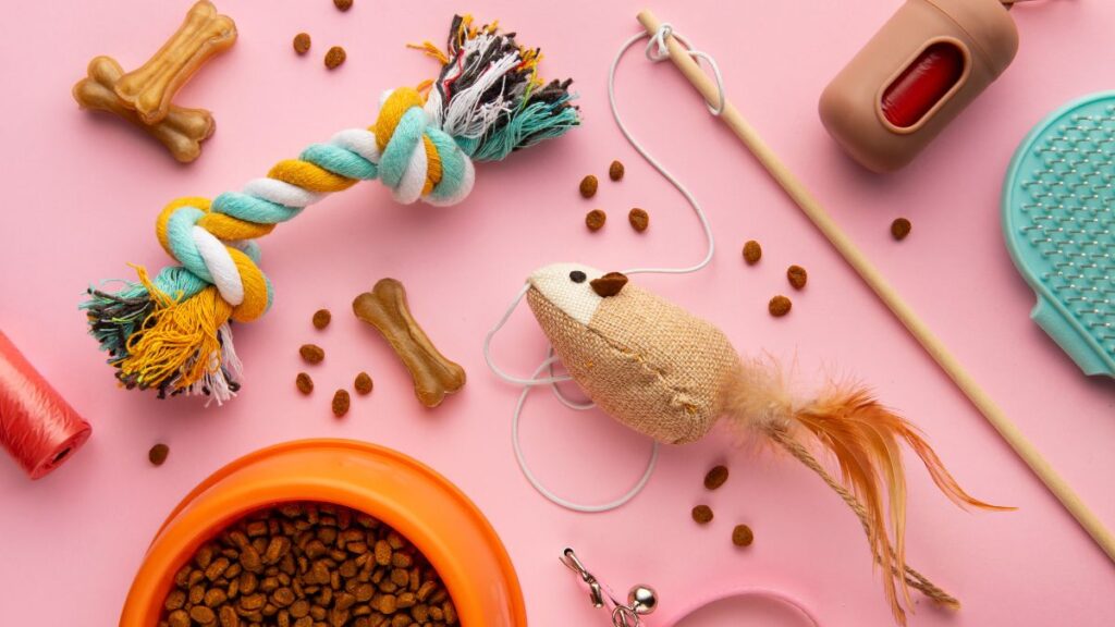 Como escolher brinquedos eficientes para cada tipo de gato