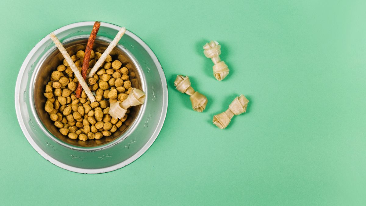 Benefícios de Oferecer Alimentos Naturais ao Cachorro