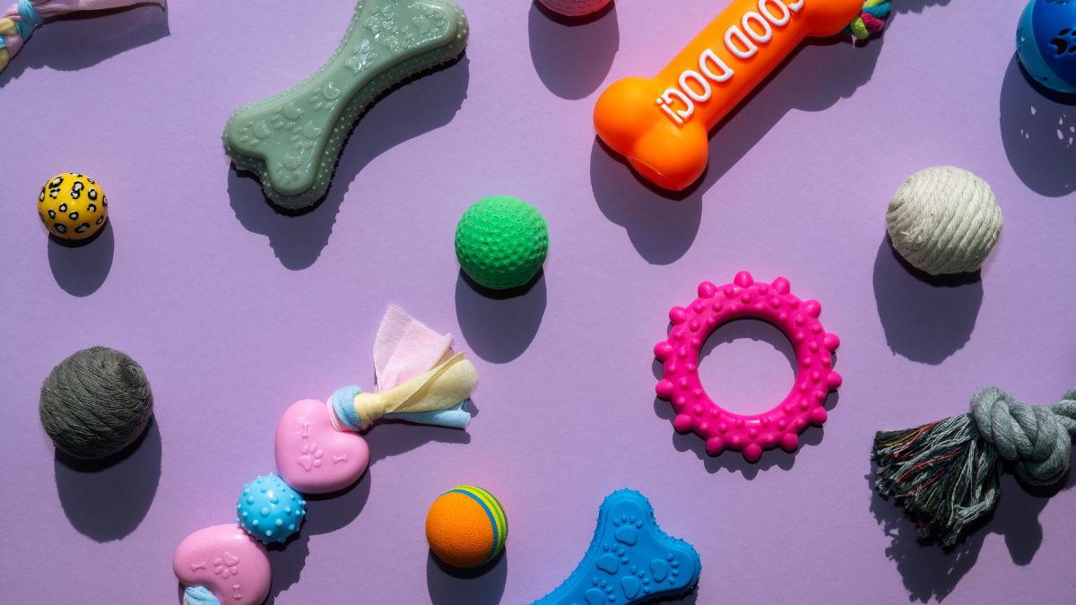 Brinquedos Para Acalmar o Cachorro