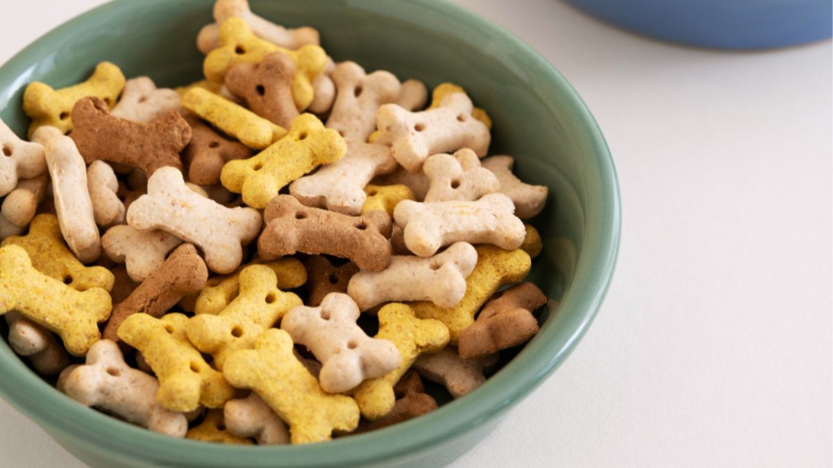 Como Fazer Petisco Natural para Cachorro Passo a Passo