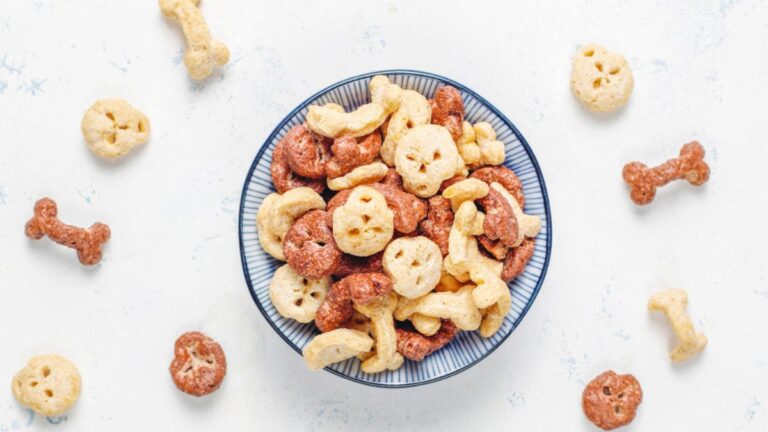 Petisco Natural para Cachorro