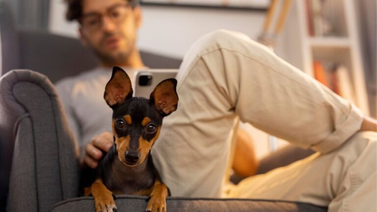 Raças de Cachorro para Apartamento