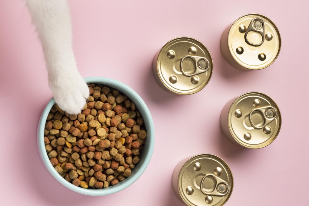 Alimentação para Gatos Filhotes