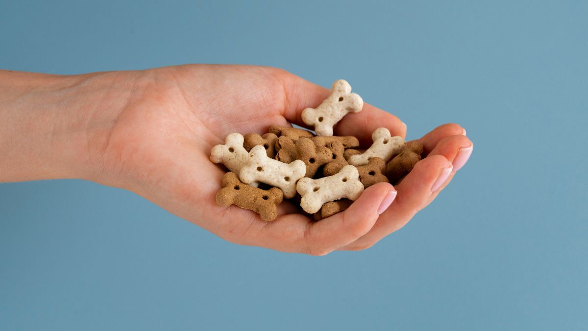 Como Fazer Petisco para Cachorro