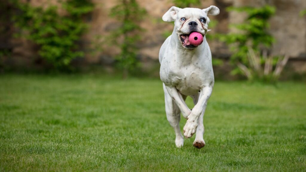 Falta de exercício físico